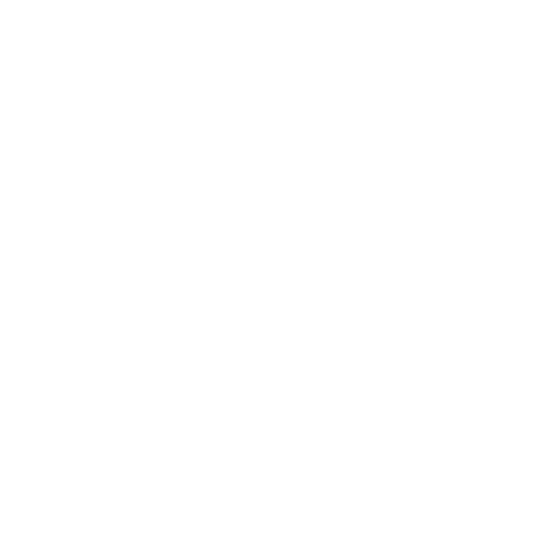 Trivelli Capital